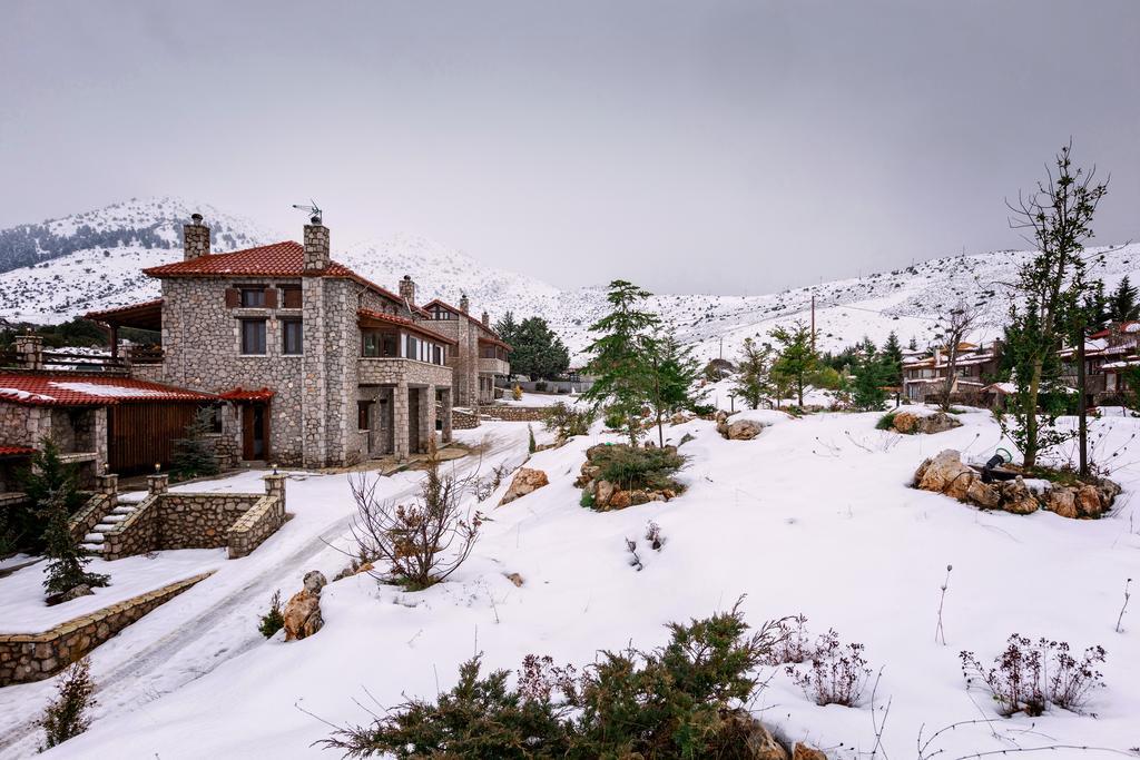 Monte Bianco Villas Arachova Extérieur photo