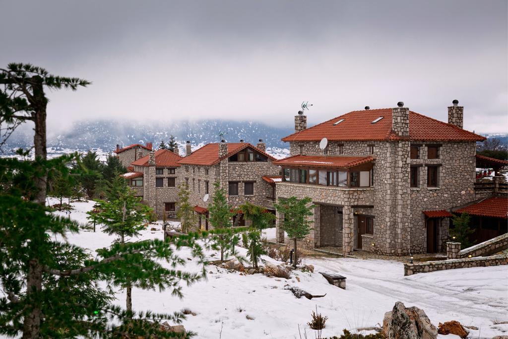 Monte Bianco Villas Arachova Extérieur photo