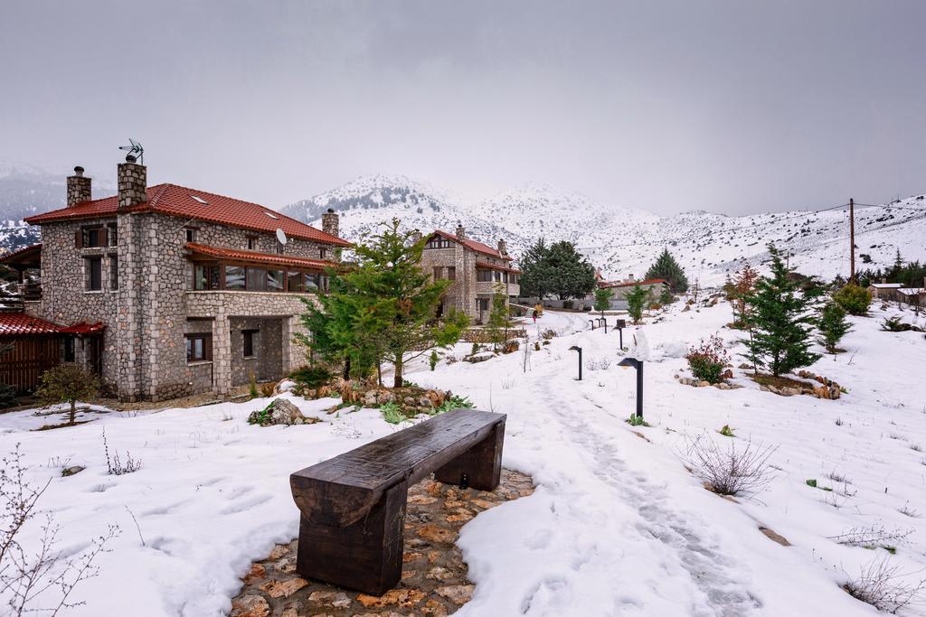 Monte Bianco Villas Arachova Extérieur photo